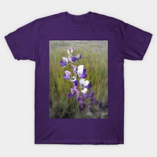 lupines in the grass T-Shirt